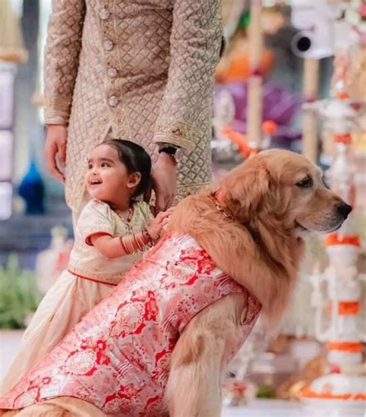 Discover The Great-Grandparents Of Aadiya Piramal