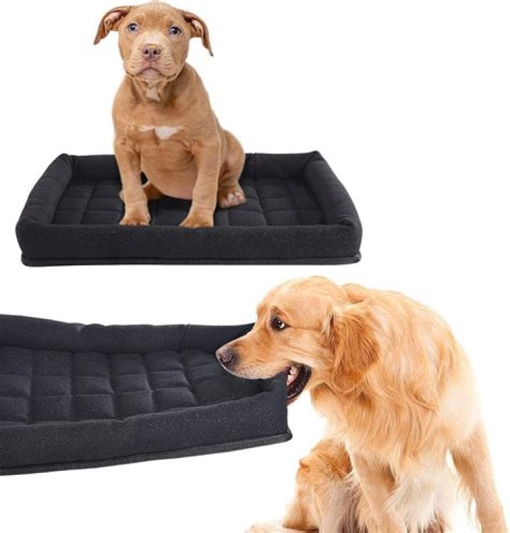 Ultimate Guide: Indestructible Dog Beds For Power Chewers