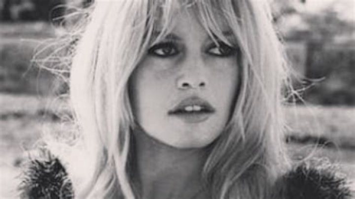Unveiling The Enigma Of Brigitte Bardot's Son: Discoveries And Insights