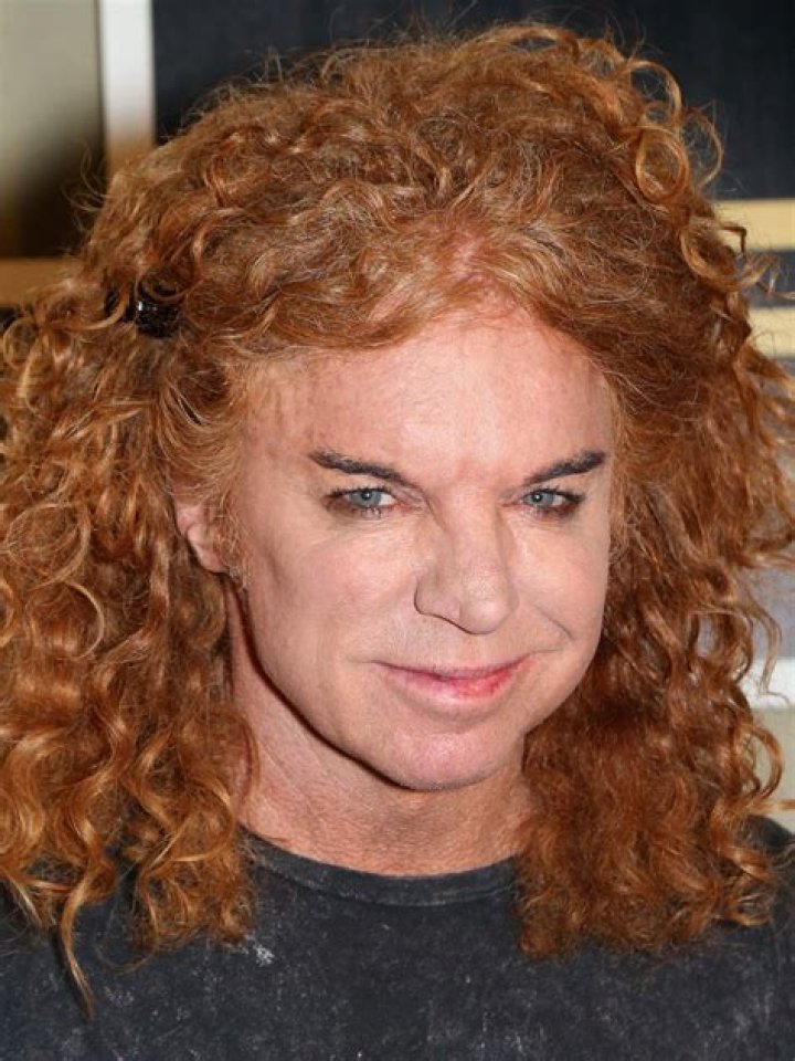 Unraveling The Vibrant World Of Carrot Top