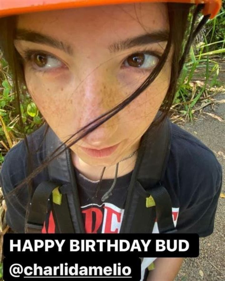 A Journey Of Inspiration And Social Media Phenomena