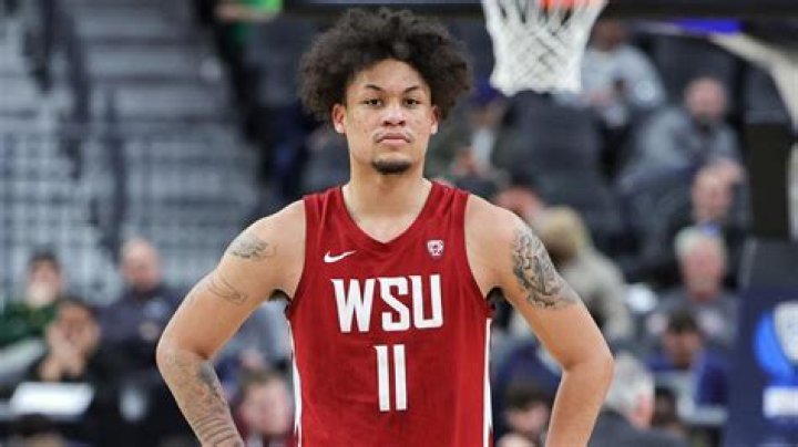 The Ultimate Guide To DJ Rodman