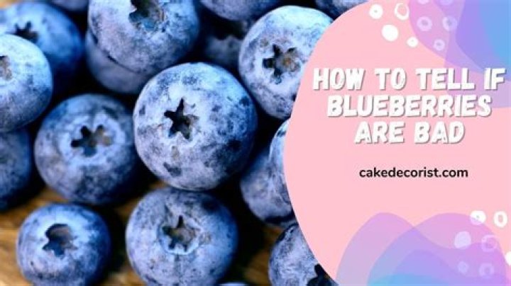 Understanding The Relationship Between Blueberries And Heartburn