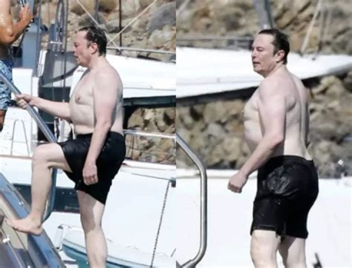 Elon Musk: The Unfortunate Reality Of Body Shaming
