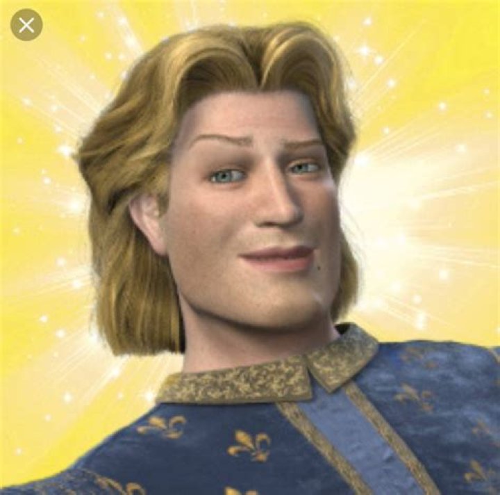 Discovering The Charming Handsome Prince Shrek