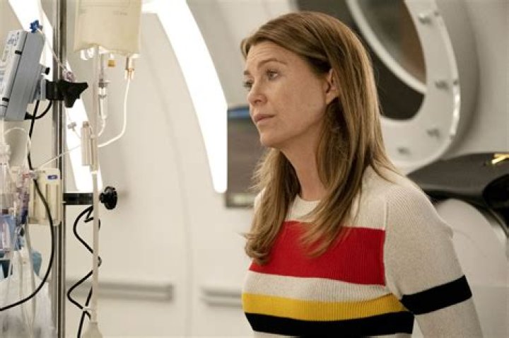 Has Ellen Pompeo Had Work Done? Uncovering The Truth