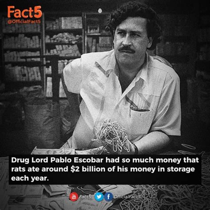 How Many Kilos Of Cocaine Did Pablo Escobar Manufacture?