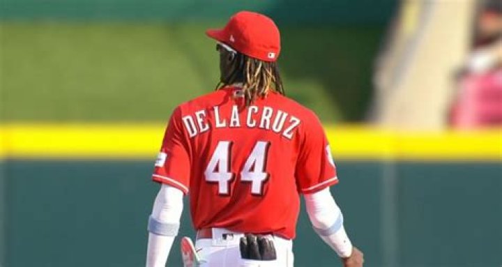 Are Bryan De La Cruz And Elly De La Cruz Related?