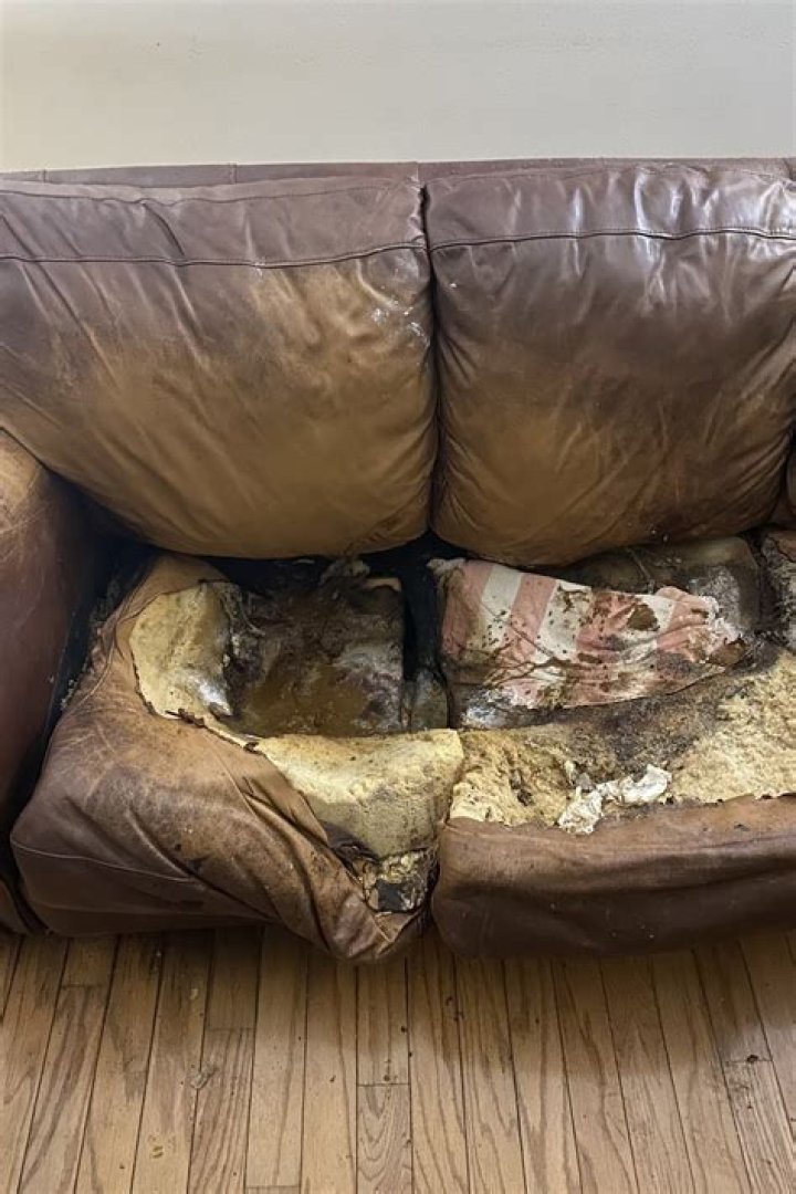 Unveiling The Truth: The Case Of Lacey Fletcher Autopsy Photos