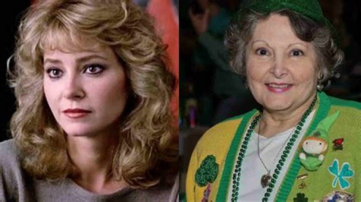 Unveiling The Inspiring Journey Of Lisa Eilbacher Today: Discoveries & Insights