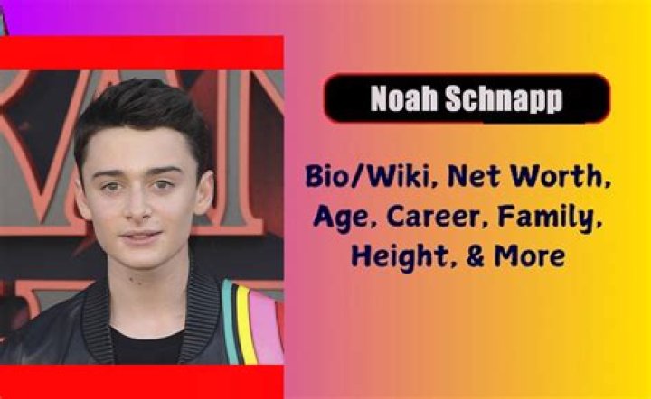 Noah Schnapp: The Journey Through Age And Stardom