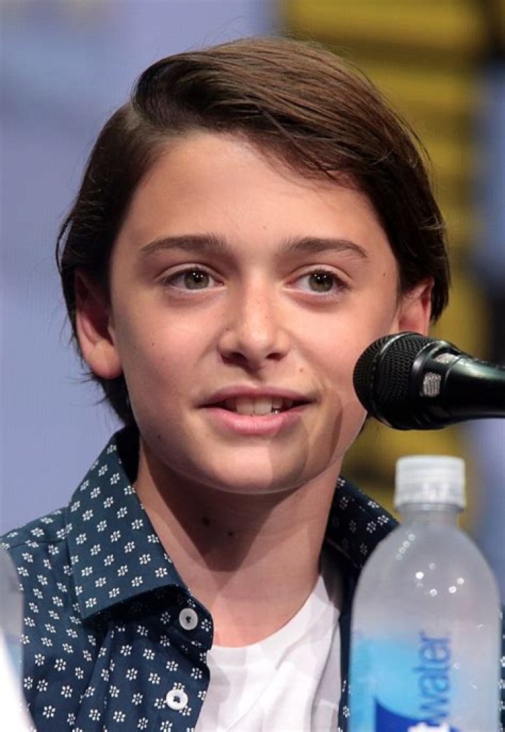 Noah Schnapp: The Rising Star Of Hollywood