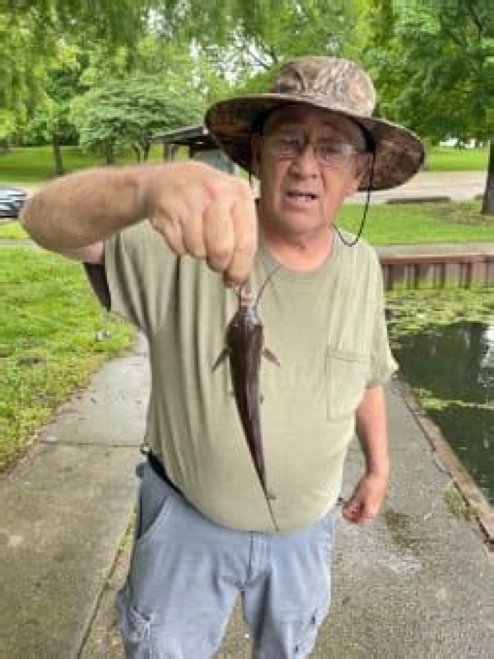 Remembering Stephen Brannan: A Legacy Remembered