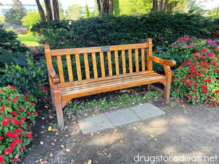 Uncover The Fascinating Story And Significance Of The Taylor Swift Bench