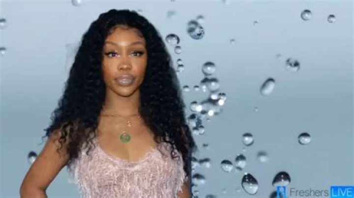 Who Are SZA's Parents? - A Comprehensive Guide To Her Family Background